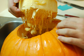 kabocha 3.JPG